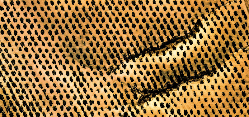 Illustration for article titled These Stunning Geometric Patterns Were Created From Google Earth Images